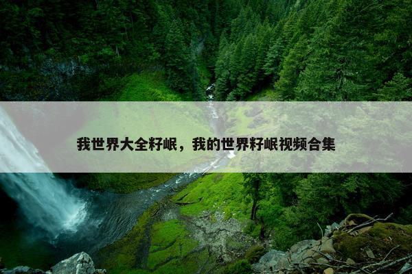 我世界大全籽岷，我的世界籽岷视频合集