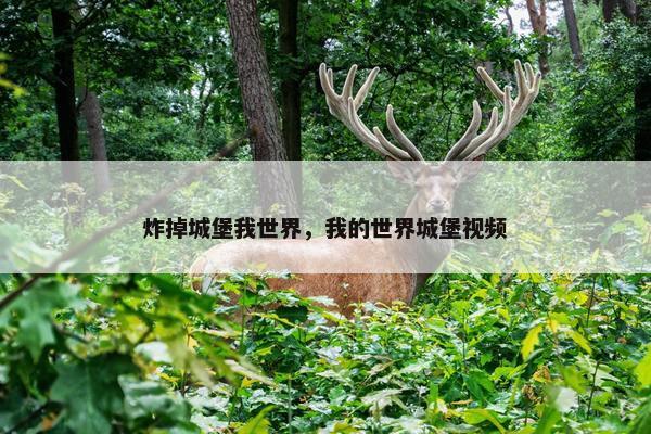 炸掉城堡我世界，我的世界城堡视频