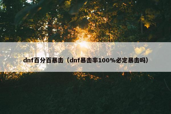 dnf百分百暴击（dnf暴击率100%必定暴击吗）