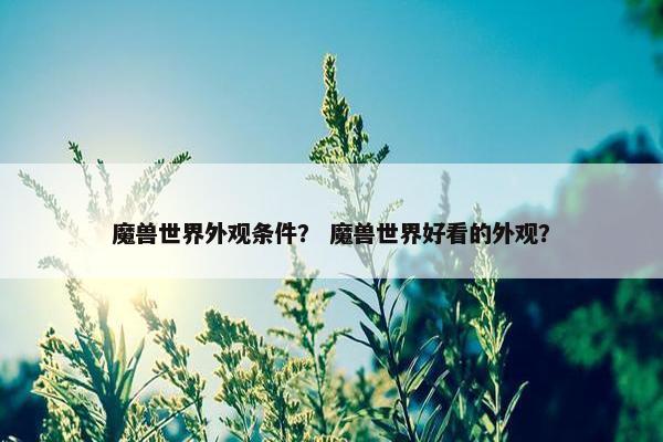 魔兽世界外观条件？ 魔兽世界好看的外观？