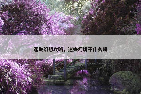 迷失幻想攻略，迷失幻境干什么呀
