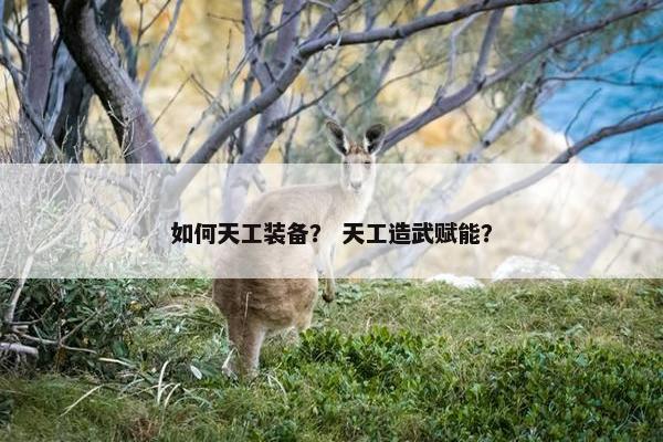 如何天工装备？ 天工造武赋能？