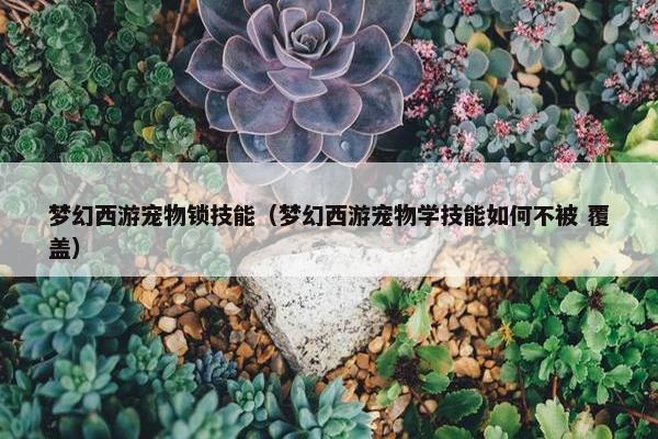 梦幻西游宠物锁技能（梦幻西游宠物学技能如何不被 覆盖）