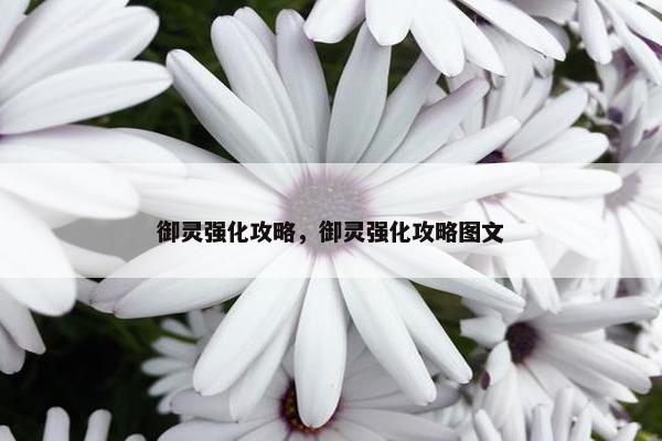 御灵强化攻略，御灵强化攻略图文