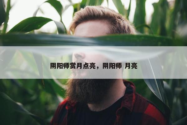 阴阳师赏月点亮，阴阳师 月亮
