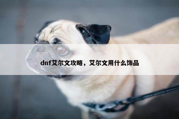 dnf艾尔文攻略，艾尔文用什么饰品