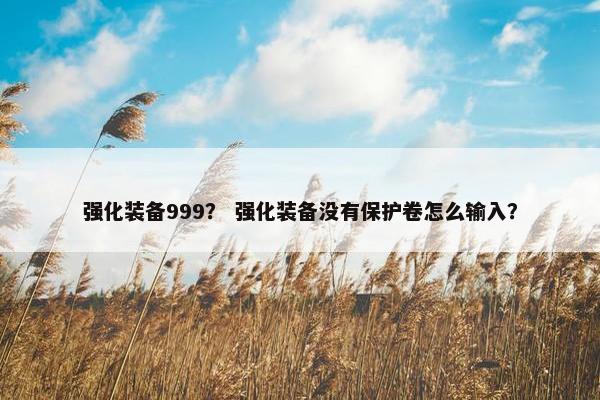 强化装备999？ 强化装备没有保护卷怎么输入？