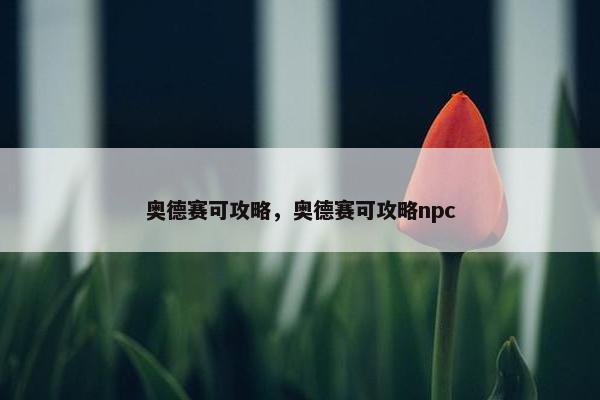 奥德赛可攻略，奥德赛可攻略npc
