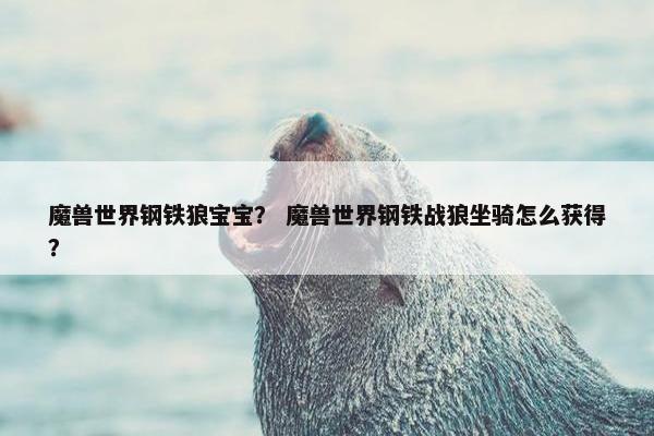 魔兽世界钢铁狼宝宝？ 魔兽世界钢铁战狼坐骑怎么获得？