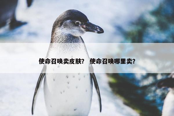 使命召唤卖皮肤？ 使命召唤哪里卖？