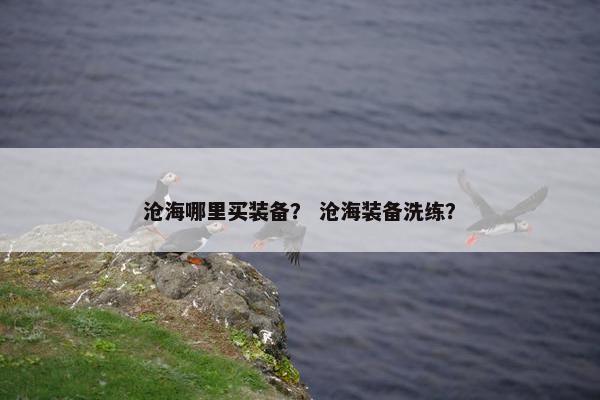 沧海哪里买装备？ 沧海装备洗练？