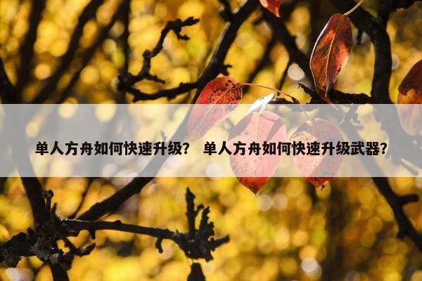 单人方舟如何快速升级？ 单人方舟如何快速升级武器？