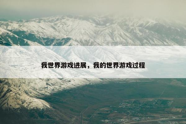 我世界游戏进展，我的世界游戏过程