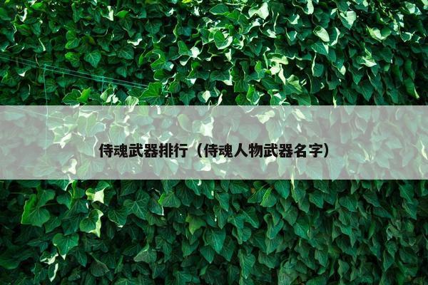 侍魂武器排行（侍魂人物武器名字）