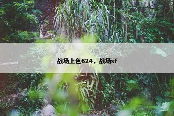 战场上色624，战场sf