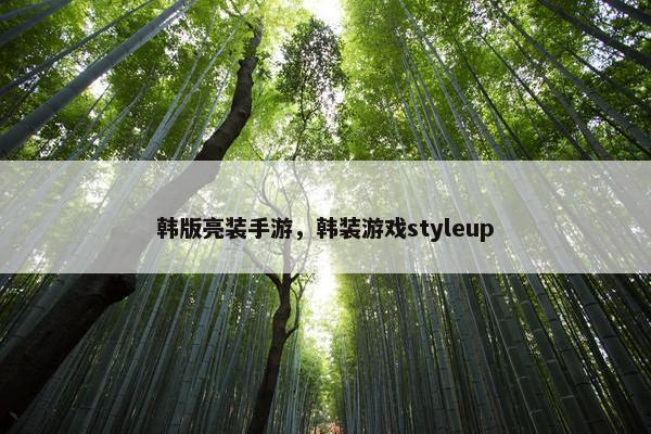 韩版亮装手游，韩装游戏styleup