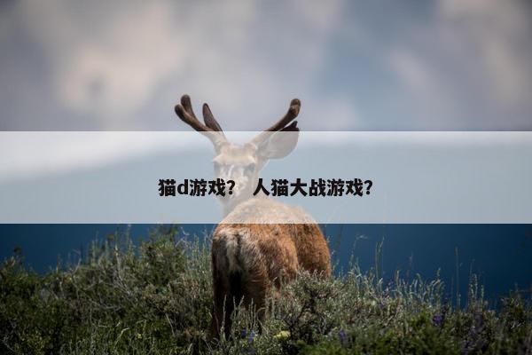 猫d游戏？ 人猫大战游戏？