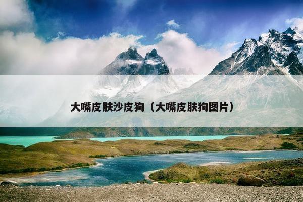 大嘴皮肤沙皮狗（大嘴皮肤狗图片）