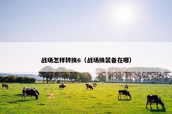 战场怎样转换6（战场换装备在哪）