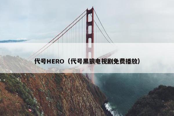 代号HERO（代号黑狼电视剧免费播放）