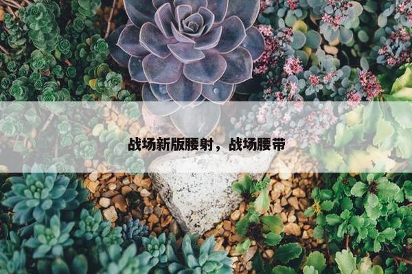 战场新版腰射，战场腰带