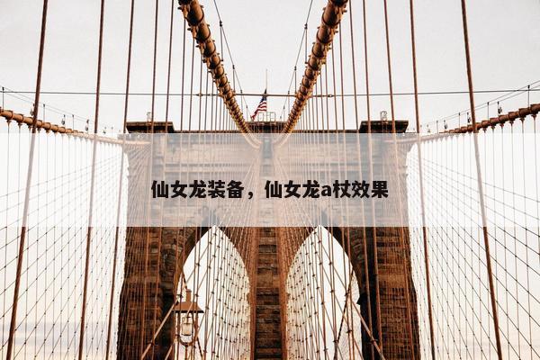 仙女龙装备，仙女龙a杖效果
