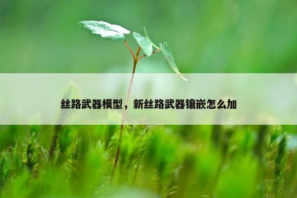 丝路武器模型，新丝路武器镶嵌怎么加