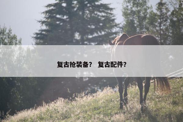复古抢装备？ 复古配件？