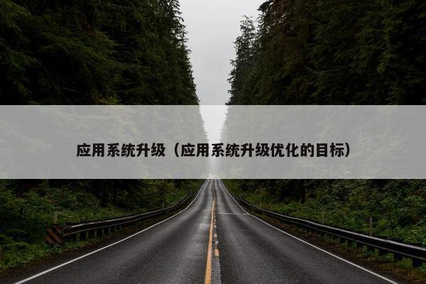 应用系统升级（应用系统升级优化的目标）