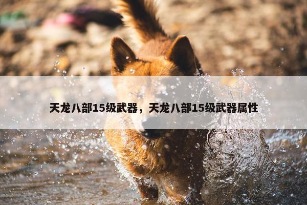 天龙八部15级武器，天龙八部15级武器属性