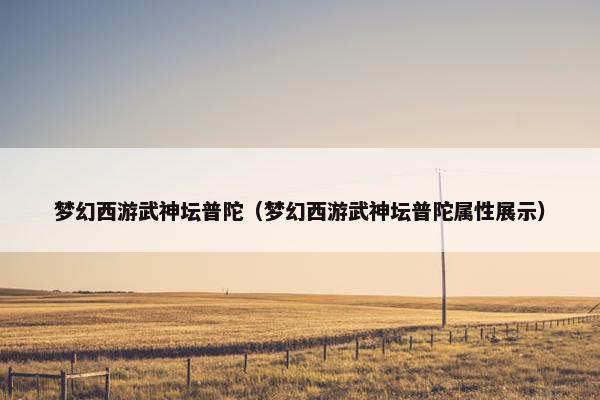 梦幻西游武神坛普陀（梦幻西游武神坛普陀属性展示）