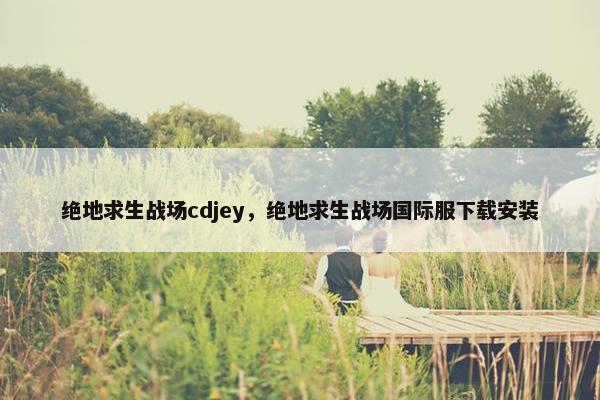 绝地求生战场cdjey，绝地求生战场国际服下载安装