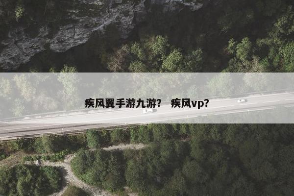 疾风翼手游九游？ 疾风vp？