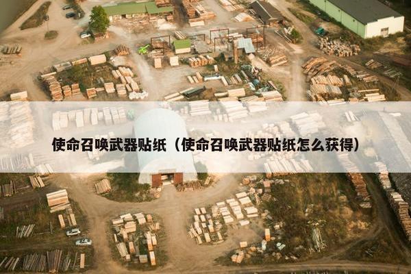 使命召唤武器贴纸（使命召唤武器贴纸怎么获得）