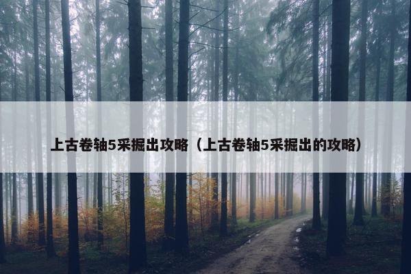 上古卷轴5采掘出攻略（上古卷轴5采掘出的攻略）