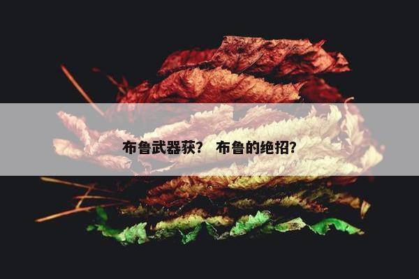 布鲁武器获？ 布鲁的绝招？