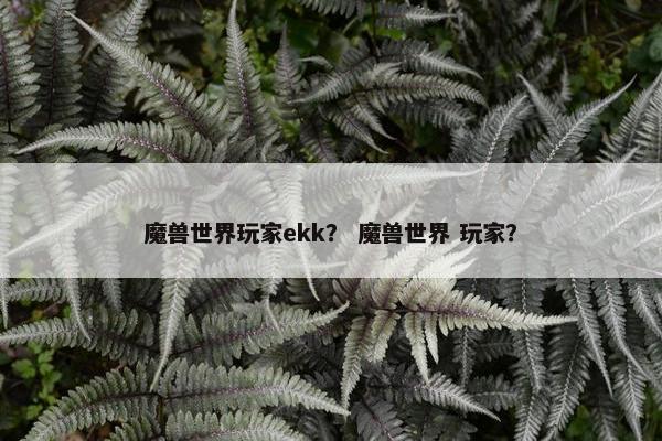 魔兽世界玩家ekk？ 魔兽世界 玩家？