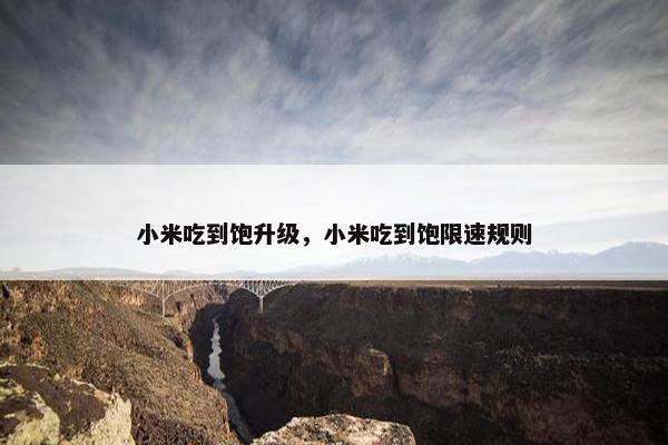 小米吃到饱升级，小米吃到饱限速规则