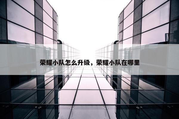 荣耀小队怎么升级，荣耀小队在哪里