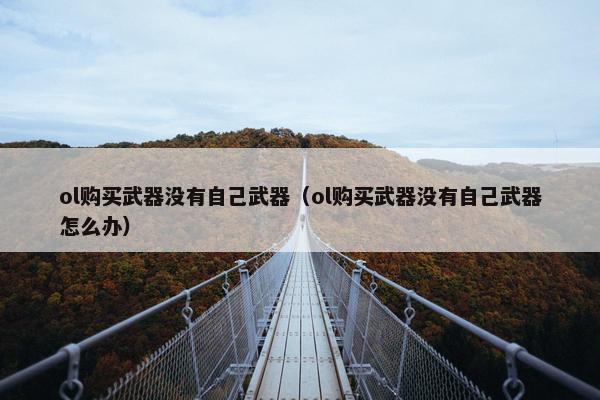 ol购买武器没有自己武器（ol购买武器没有自己武器怎么办）