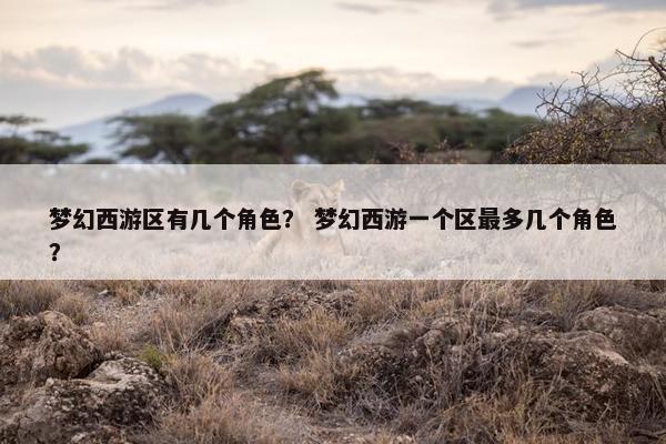 梦幻西游区有几个角色？ 梦幻西游一个区最多几个角色？