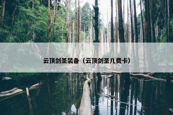 云顶剑圣装备（云顶剑圣几费卡）