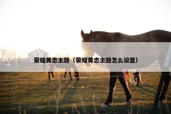 荣耀黄忠主题（荣耀黄忠主题怎么设置）