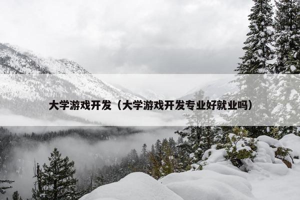 大学游戏开发（大学游戏开发专业好就业吗）