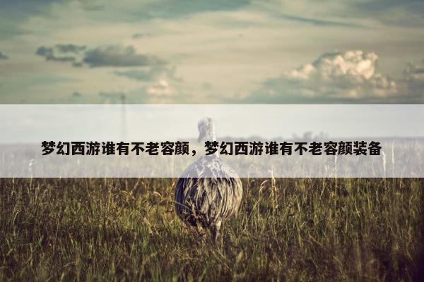梦幻西游谁有不老容颜，梦幻西游谁有不老容颜装备