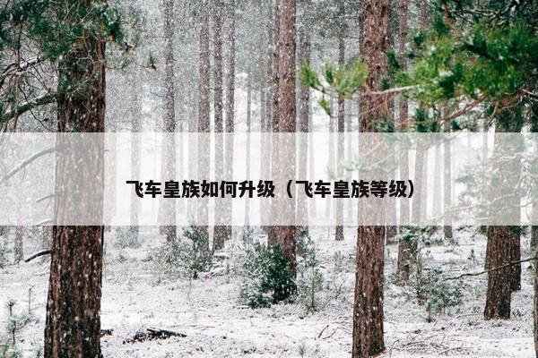 飞车皇族如何升级（飞车皇族等级）