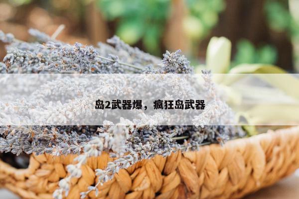 岛2武器爆，疯狂岛武器