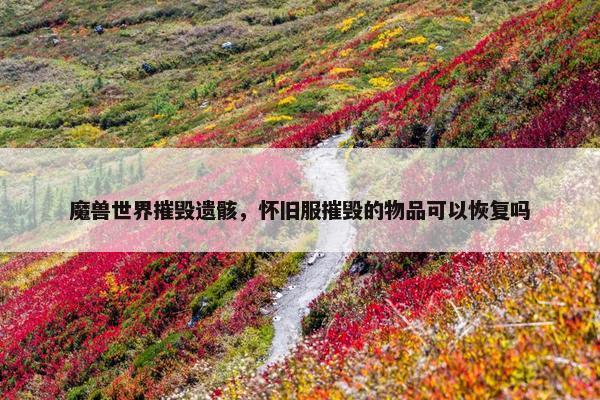 魔兽世界摧毁遗骸，怀旧服摧毁的物品可以恢复吗