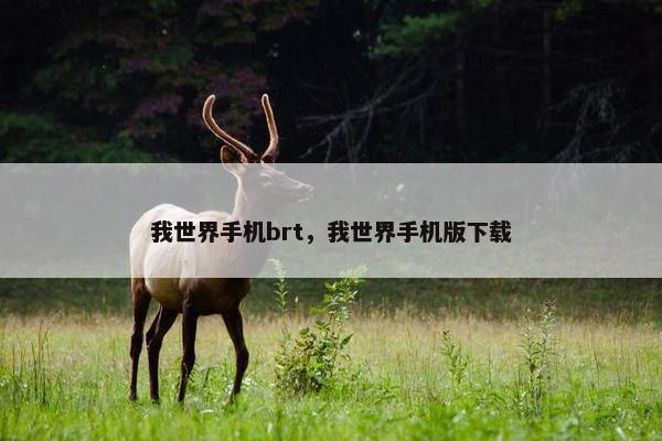 我世界手机brt，我世界手机版下载