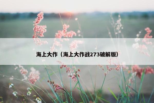海上大作（海上大作战273破解版）